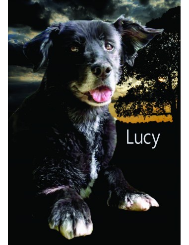 Lucy Trommelnoten-Set / Wanner Stephan