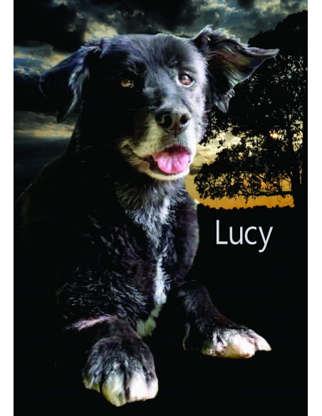 Lucy Trommelnoten-Set / Wanner Stephan