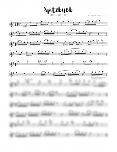 Spitzbueb, dr / OBERE Zierstimme / 2 Pfeifernoten / Freiermuth Barbara