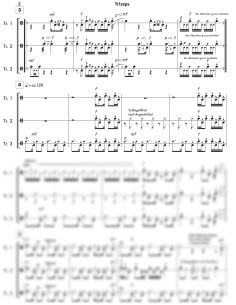 Trizeps / 1 Partitur inkl. Einzelstimmen / Locher Daniel 2