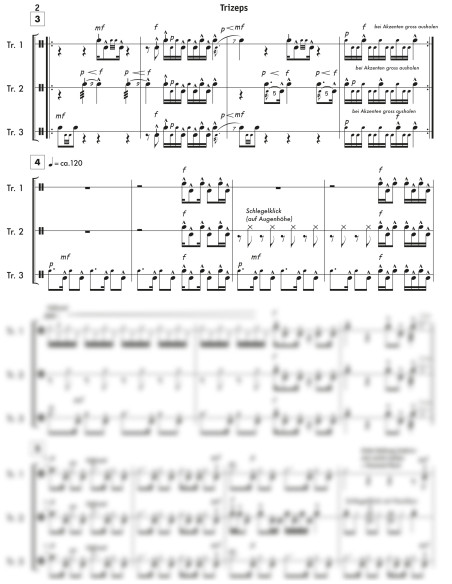 Trizeps / 1 Partitur inkl. Einzelstimmen / Locher Daniel