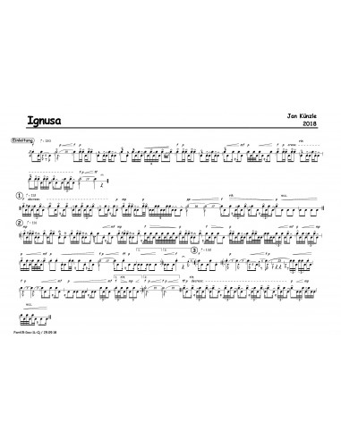 Ignusa 1 Trommelnoten / Künzle Jan