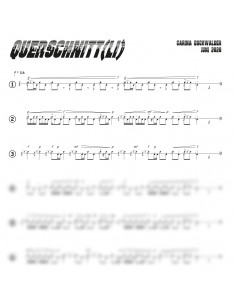 Querschnitt(li) 1 Trommelnoten / Buchwalder Carina