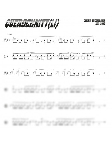 Querschnitt(li) 1 Trommelnoten / Buchwalder Carina